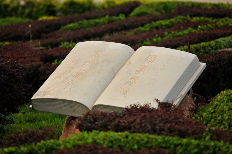 校园走廊文化建设 校园走廊文化建设